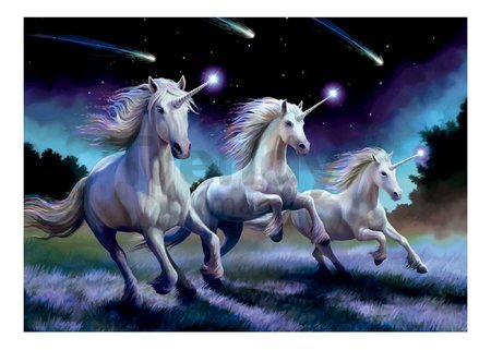 Puzzle Shooting Stars Anne Stokes Educa 1000 dielov a Fix lepidlo