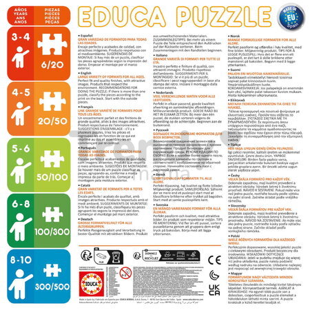 Puzzle plagát Poster Dragon Ball Educa 250 dielov od 8 rokov EDU19965