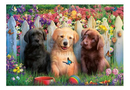 Puzzle Posing Puppies Educa 100 dielov od 6 rokov