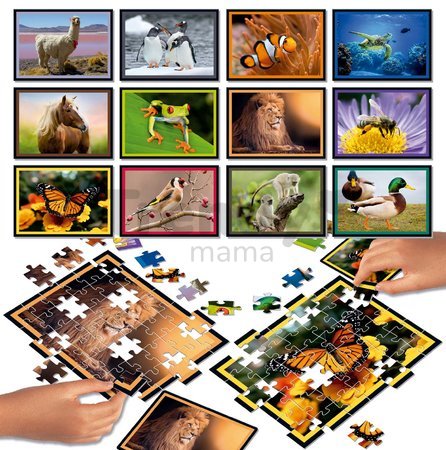 Puzzle Battle Príroda Nature Educa 12 druhov puzzle 504 dielikov a 12 kariet s obrázkami od 7 rokov