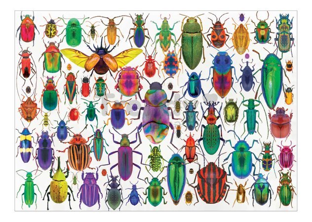 Puzzle Beatles Educa 500 dielov a Fix lepidlo
