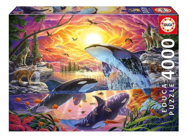 Puzzle Orcas and Wolves Living Educa 4000 dielov