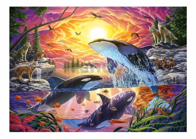 Puzzle Orcas and Wolves Living Educa 4000 dielov