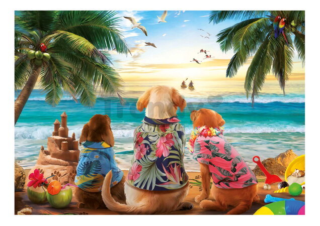 Puzzle Dogs on the Beach Educa 1000 dielov a Fix lepidlo