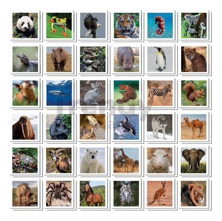Pexeso v kufríku Identic Memo Game Animals Educa pamäťová hra 72 kariet od 6 rokov