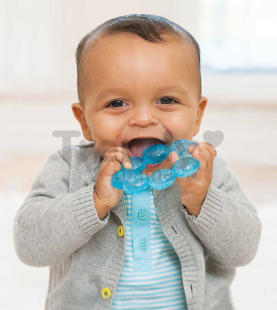 Chladiace hryzátko Water Teether Aqua Infantino vhodné do chladničky modré od 0 mes