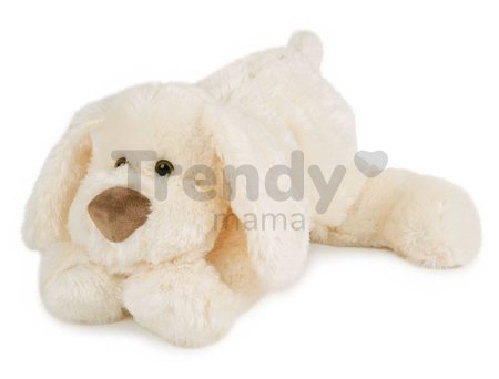 Plyšový psík Cookie Dog Histoire d’ Ours béžový 40 cm od 0 mes