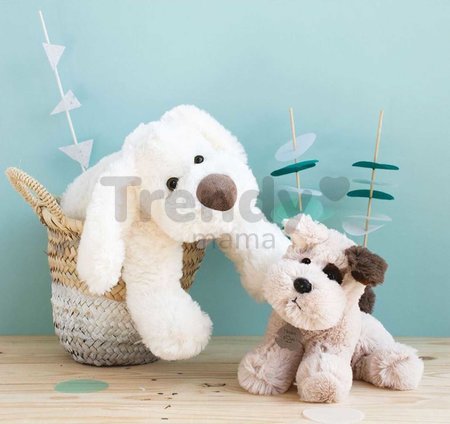 Plyšový psík Cookie Dog Histoire d’ Ours béžový 40 cm od 0 mes