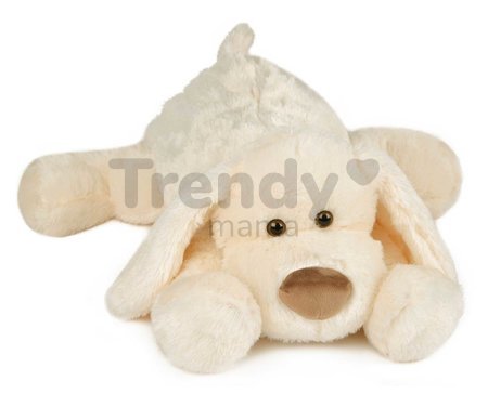 Plyšový psík Cookie Dog Histoire d’ Ours béžový 50 cm od 0 mes