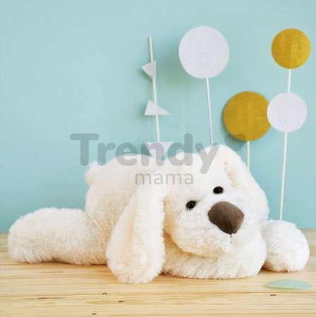 Plyšový psík Cookie Dog Histoire d’ Ours béžový 50 cm od 0 mes