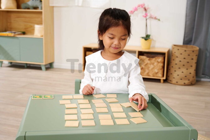 Drevené pexeso Zvieratká a objekty Remember Me Eichhorn 15 motívov 30 dielikov