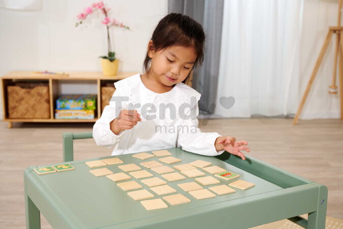 Drevené pexeso Zvieratká a objekty Remember Me Eichhorn 15 motívov 30 dielikov