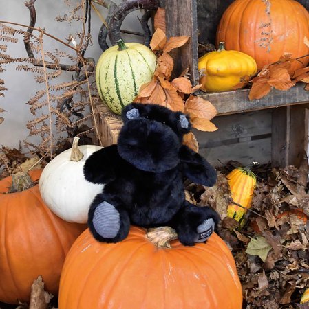 Plyšový hrošík Hip'Star Histoire d’ Ours čierny 25 cm od 0 mes