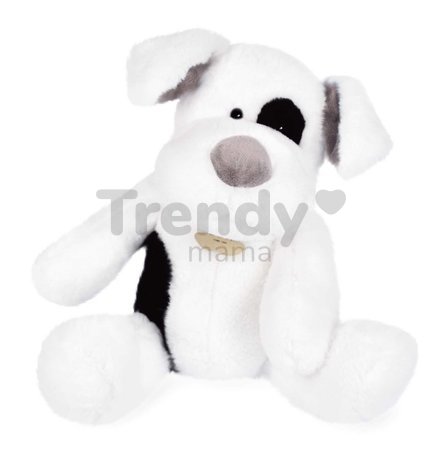 Plyšový psík Noopy Dog Histoire d’ Ours v darčekovom balení biely 40 cm od 0 mes