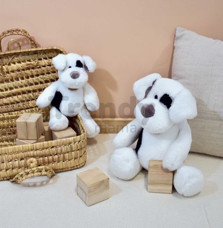 Plyšový psík Noopy Dog Histoire d’ Ours v darčekovom balení biely 40 cm od 0 mes
