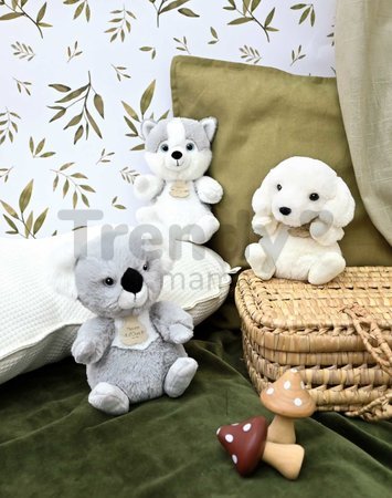 Plyšová koala The Little Companions Histoire d’ Ours sivá 20 cm od 0 mes