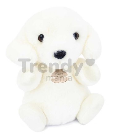 Plyšový psík The Little Companions Histoire d’ Ours biely 20 cm od 0 mes