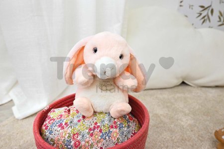 Plyšový zajačik The Little Companions Histoire d’ Ours ružový 20 cm od 0 mes