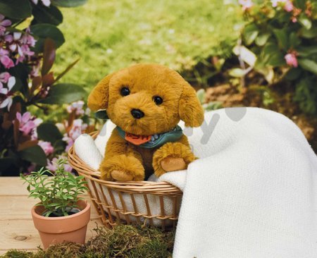 Plyšový psík Welcome Home SPA Collection Histoire d’ Ours v darčekovom balení hnedý 16 cm od 0 mes