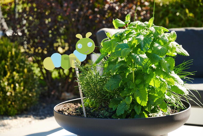 Drevené kolíky do kvetináča Outdoor Flowerpot Stickers Eichhorn 8 dielov so štetcom a farbou na vymaľovanie