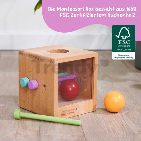 Drevený box s okienkom Montessori Box with Balls Eichhorn s 3 paličkami a 2 loptičkami pre rozvoj jemnej motoriky od 12 mes
