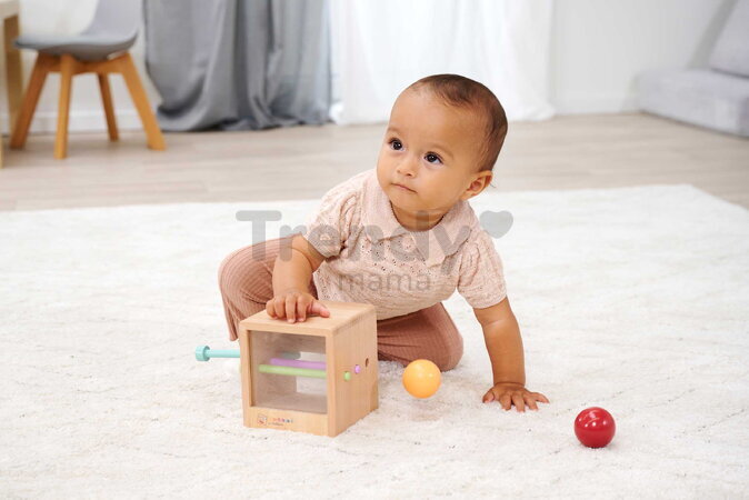 Drevený box s okienkom Montessori Box with Balls Eichhorn s 3 paličkami a 2 loptičkami pre rozvoj jemnej motoriky od 12 mes