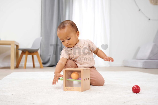 Drevený box s okienkom Montessori Box with Balls Eichhorn s 3 paličkami a 2 loptičkami pre rozvoj jemnej motoriky od 12 mes