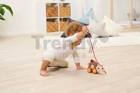 Drevené autíčko ježko so zvukom Pull Back Hedgehog Eichhorn so šnúrkou na ťahanie 16 cm od 12 mes