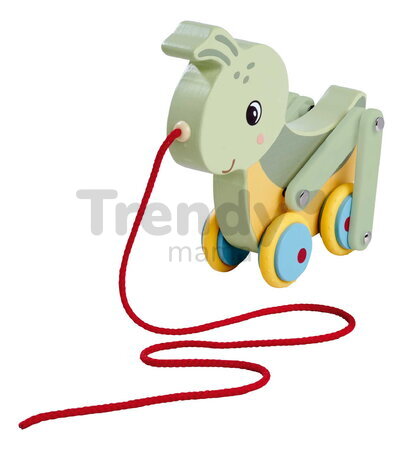 Drevený lúčny koník na ťahanie Pullback Grasshopper Eichhorn so šnúrkou a pohyblivými nohami od 12 mes