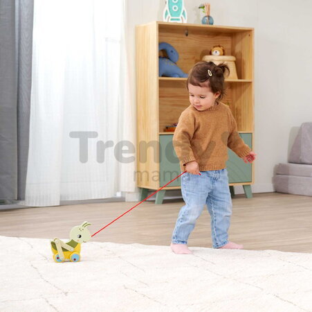 Drevený lúčny koník na ťahanie Pullback Grasshopper Eichhorn so šnúrkou a pohyblivými nohami od 12 mes