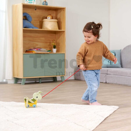 Drevený lúčny koník na ťahanie Pullback Grasshopper Eichhorn so šnúrkou a pohyblivými nohami od 12 mes