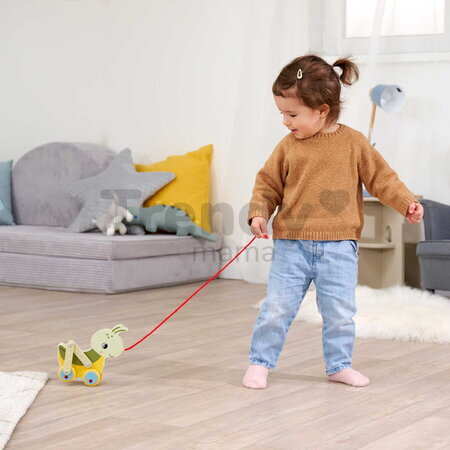 Drevený lúčny koník na ťahanie Pullback Grasshopper Eichhorn so šnúrkou a pohyblivými nohami od 12 mes