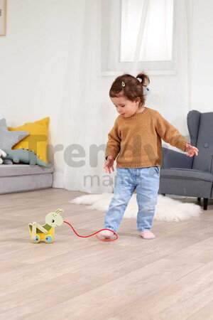 Drevený lúčny koník na ťahanie Pullback Grasshopper Eichhorn so šnúrkou a pohyblivými nohami od 12 mes