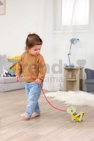 Drevený lúčny koník na ťahanie Pullback Grasshopper Eichhorn so šnúrkou a pohyblivými nohami od 12 mes