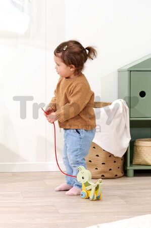 Drevený lúčny koník na ťahanie Pullback Grasshopper Eichhorn so šnúrkou a pohyblivými nohami od 12 mes