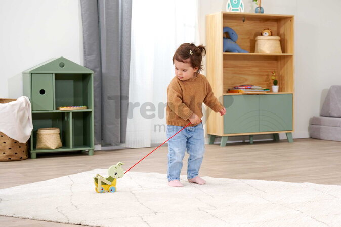 Drevený lúčny koník na ťahanie Pullback Grasshopper Eichhorn so šnúrkou a pohyblivými nohami od 12 mes