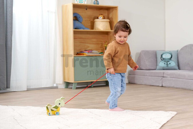 Drevený lúčny koník na ťahanie Pullback Grasshopper Eichhorn so šnúrkou a pohyblivými nohami od 12 mes