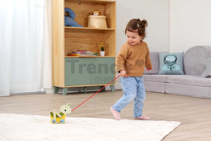 Drevený lúčny koník na ťahanie Pullback Grasshopper Eichhorn so šnúrkou a pohyblivými nohami od 12 mes