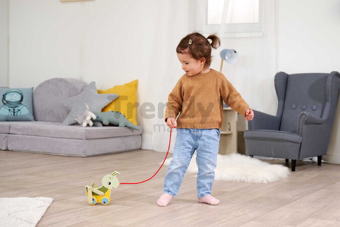 Drevený lúčny koník na ťahanie Pullback Grasshopper Eichhorn so šnúrkou a pohyblivými nohami od 12 mes