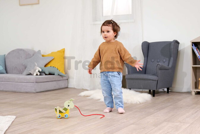 Drevený lúčny koník na ťahanie Pullback Grasshopper Eichhorn so šnúrkou a pohyblivými nohami od 12 mes