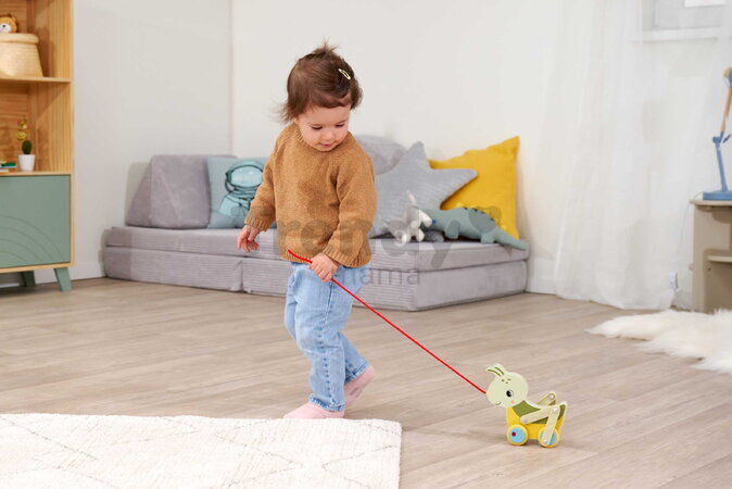 Drevený lúčny koník na ťahanie Pullback Grasshopper Eichhorn so šnúrkou a pohyblivými nohami od 12 mes