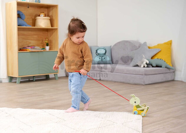 Drevený lúčny koník na ťahanie Pullback Grasshopper Eichhorn so šnúrkou a pohyblivými nohami od 12 mes