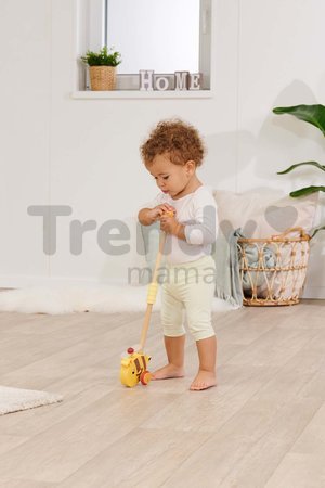 Drevené autíčko včielka Push Bee with Stick Eichhorn s vodiacou rúčkou dĺžka 50 cm od 12 mes
