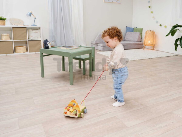 Drevený labyrint na ťahanie Pull-along Wagon Eichhorn s korálikmi od 12 mes