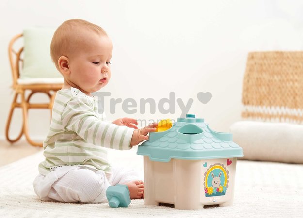Didaktický domček BB Abrick Écoiffier 11 dielov s vkladacími kockami od 12 mes