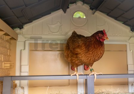 Kurín pre 5 sliepok Cluck Cluck Cottage Beige Smoby 4 dvere so schodmi a kŕmidlom a hniezdo s falošným vajíčkom 128 cm výška
