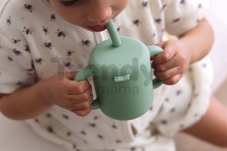 Hrnček pre bábätká Silicone Straw Cup Beaba Sage Green so slamkou na učenie sa piť zelený od 8 mes