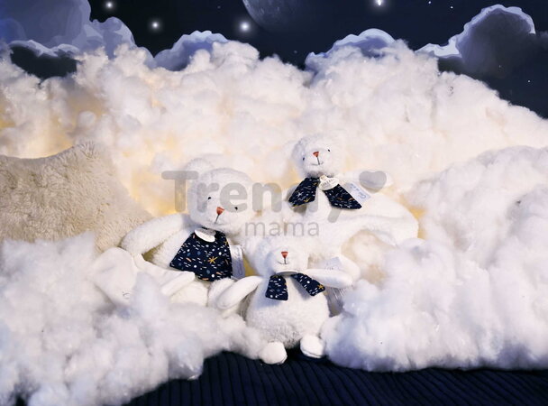 Plyšový medvedík s melódiou svietiaci v tme Moonlight Collection Music Box Doudou et Compagnie v darčekovom balení biely 17 cm od 0 mes