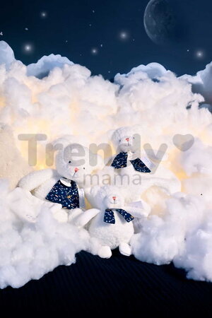 Plyšový medvedík s melódiou svietiaci v tme Moonlight Collection Music Box Doudou et Compagnie v darčekovom balení biely 17 cm od 0 mes