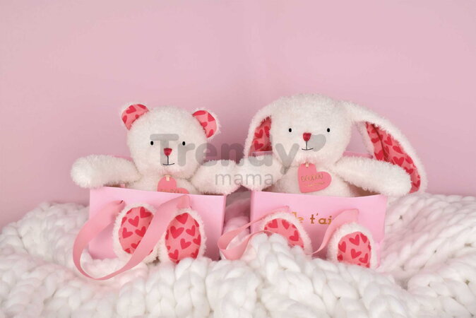 Plyšový medvedík Bear Je T'aime Doudou et Compagnie v darčekovej taške biely 25 cm od 0 mes DC4373